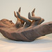Sharon Sutter Photo 13