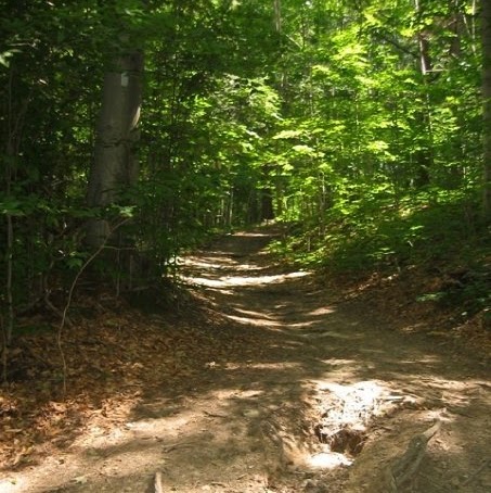 Marie Booker Photo 19