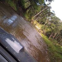 Daniel Ready Photo 24