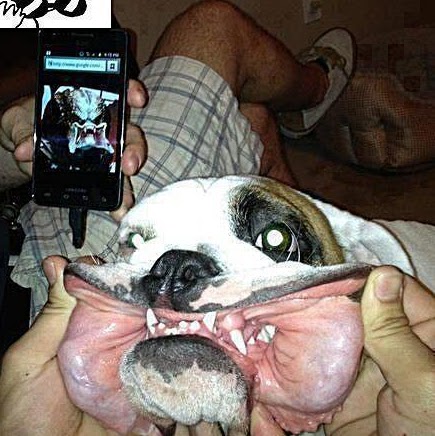 Reginald Lee Photo 33