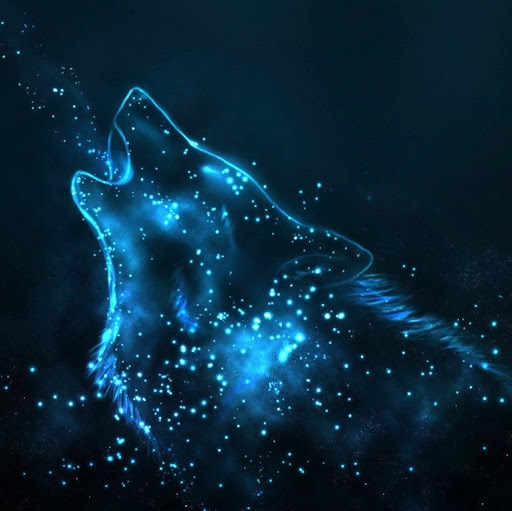 David Nowak Photo 34