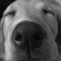 Becky Norman Photo 20