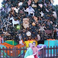 Erica Hooks Photo 19