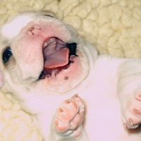 Ruth Spindler Photo 3