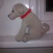 Steve Labrador Photo 3