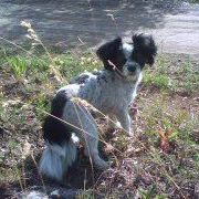 Cindy Barney Photo 13