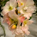 Sally Rose Photo 6