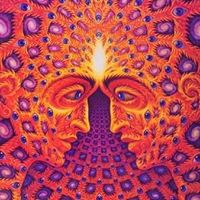 Skye Macleod Photo 16