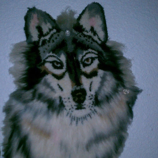 Cindy Mccullough Photo 9