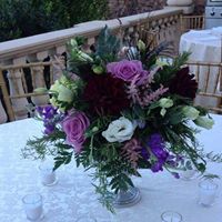 Kathleen Fontaine Photo 8