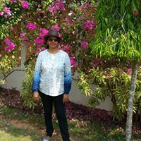 Geetha Sunil Photo 12