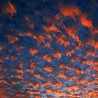 Lori Leathers Photo 24