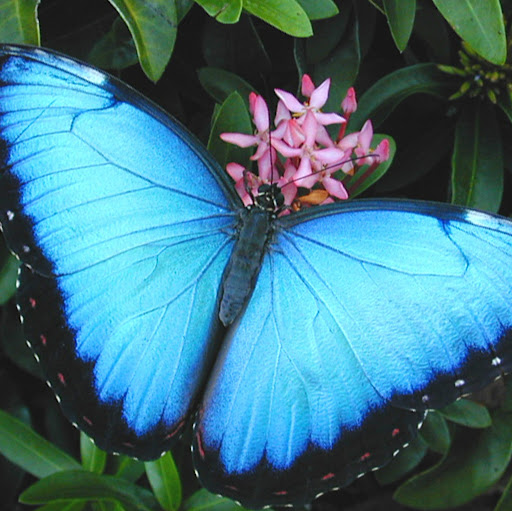 Kimberly Arnold Photo 27