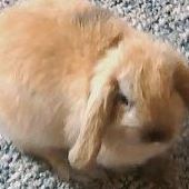 Arthur Roach Photo 3