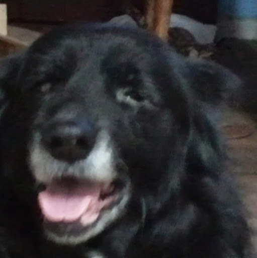 Jenny Stevenson Photo 17