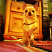 Floyd Sweet Photo 4