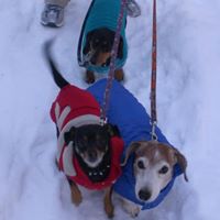 Tiffany Madden Photo 13