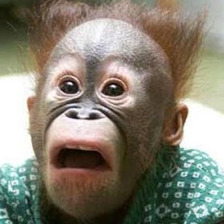 Linda Cutler Photo 29