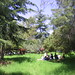 Rick Malcolm Photo 21