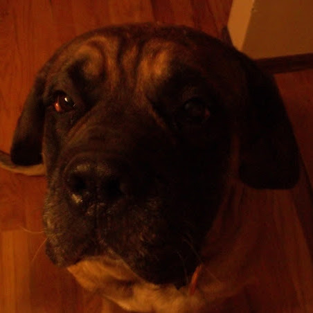 Jay Hubbard Photo 37