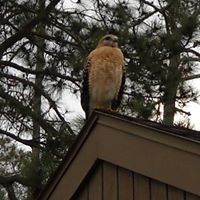 Alice Parrish Photo 16