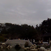 Fang Lo Photo 9