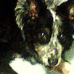 Judith Mcdaniel Photo 7