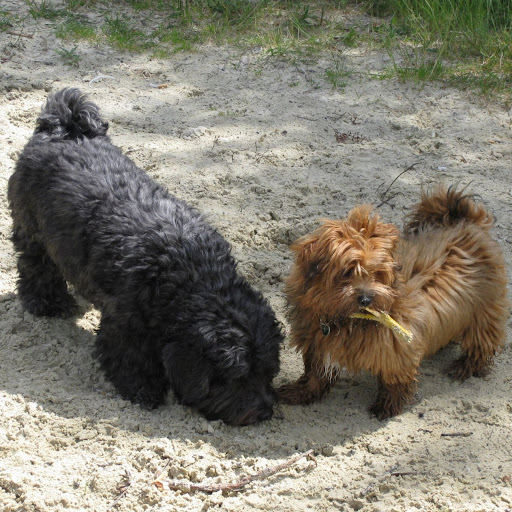 Kathie Krueger Photo 1