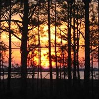 Kathryn Carver Photo 35