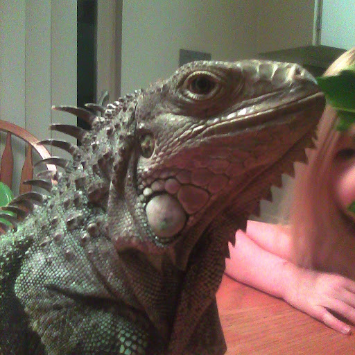 Tom Rutledge Photo 46