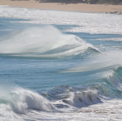 Sarah Chisholm Photo 20