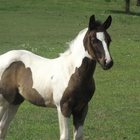 Marlene Lewis Photo 12