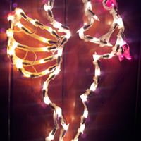 Melinda Burns Photo 19