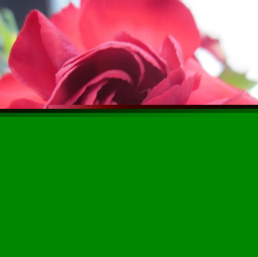 Kristen Lemoine Photo 3