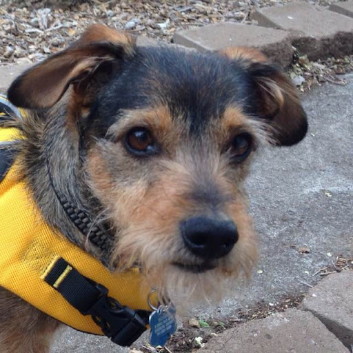 Patrick O'Neil Photo 8