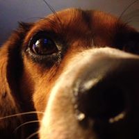 Christine Hollenbeck Photo 9