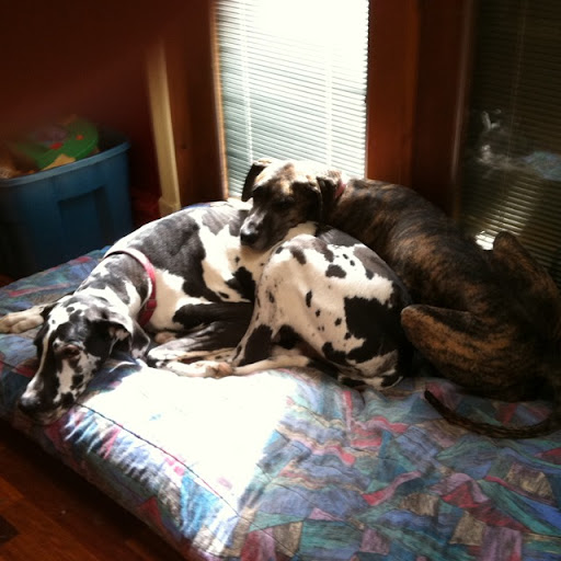 Janet Mccarthy Photo 31