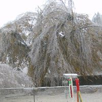 Linda Pitts Photo 20