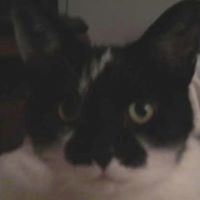 Christine Reardon Photo 10