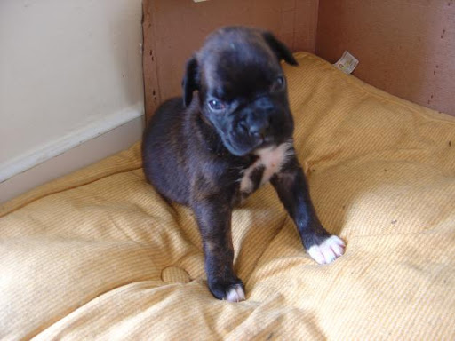 Gillian Fitzpatrick Photo 2