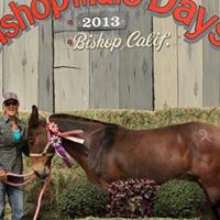 Staci Greene Photo 4