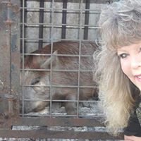 Debbie Phipps Photo 21