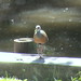 Dolores Gray Photo 11