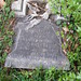 Charles Rhoads Photo 16