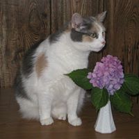 Sheryl Schultz Photo 23