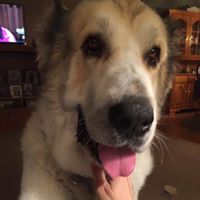 Karen Collins Photo 30