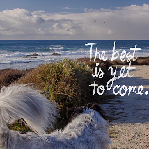 Stephanie Roberts Photo 13