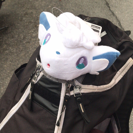 Joshua Robinson Photo 51