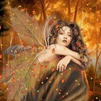 Robin Wiseman Photo 12