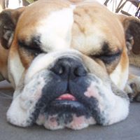 Adrian Rowe Photo 21